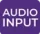 Audio Input