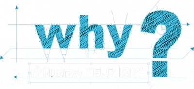 Why Fuzion